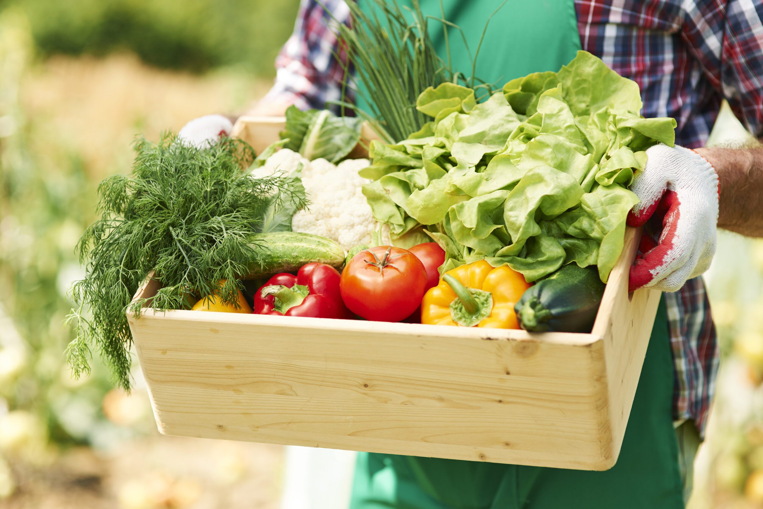Beneficial vegetables for diabetics